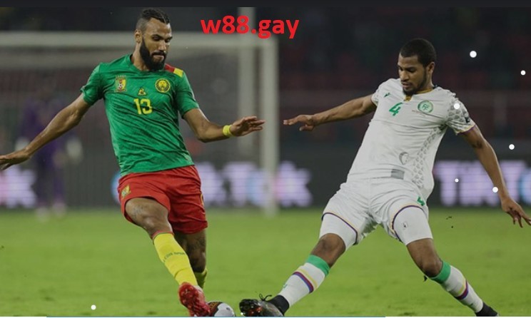 Nhận định W88 Cameroon vs Serbia 17h00 ngày 28/11 - World Cup 2022