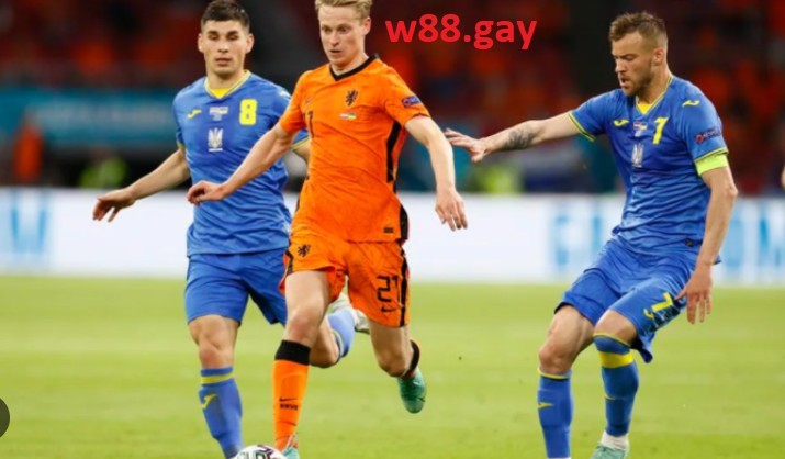 Nhận định W88 Hà Lan vs Ecuador 23h00 ngày 25/11 - World Cup 2022