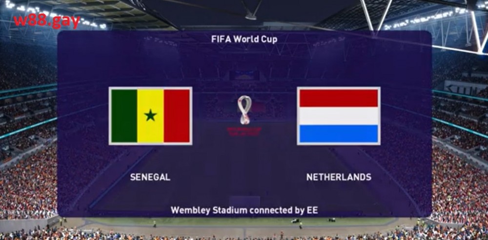 Nhận định W88 Senegal vs Hà Lan 23h00 ngày 21/11, World Cup 2022